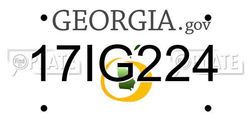 17IG224 Georgia License Plate
