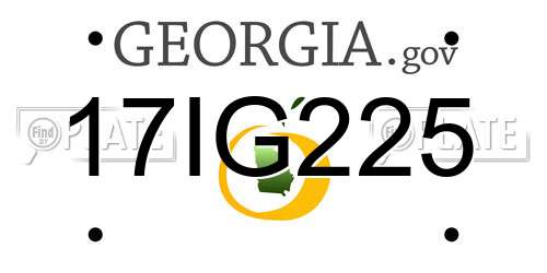 17IG225 Georgia License Plate