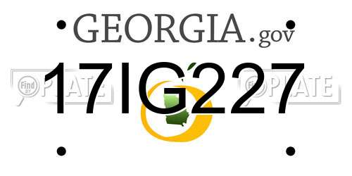 17IG227 Georgia License Plate