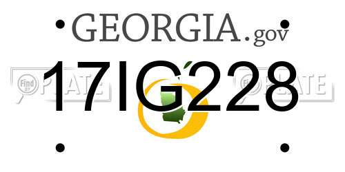 17IG228 Georgia License Plate