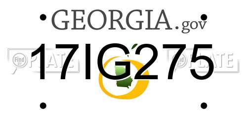17IG275 Georgia License Plate