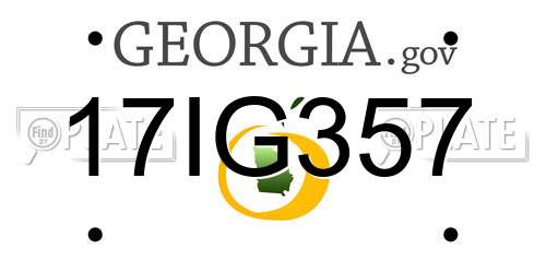 17IG357 Georgia License Plate
