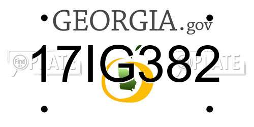 17IG382 Georgia License Plate