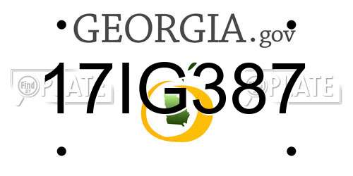 17IG387 Georgia License Plate