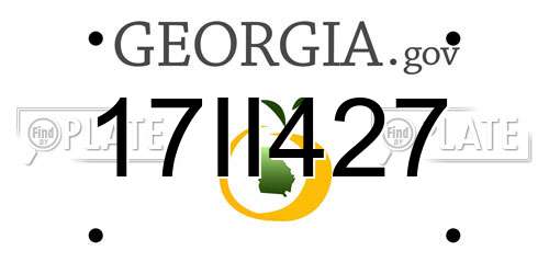 17II427 Georgia License Plate