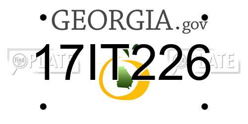 17IT226 Georgia License Plate