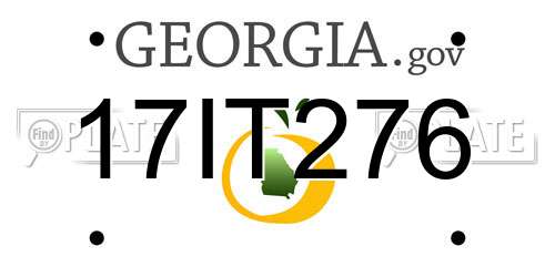 17IT276 Georgia License Plate