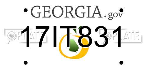 17IT831 Georgia License Plate