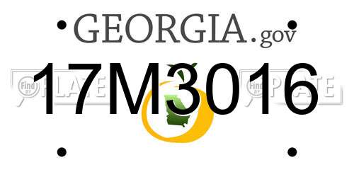 17M3016 Georgia License Plate