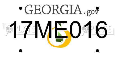 17ME016 Georgia License Plate