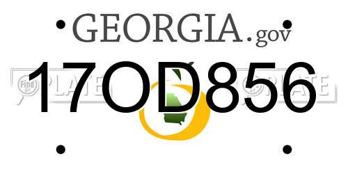 17OD856 Georgia License Plate
