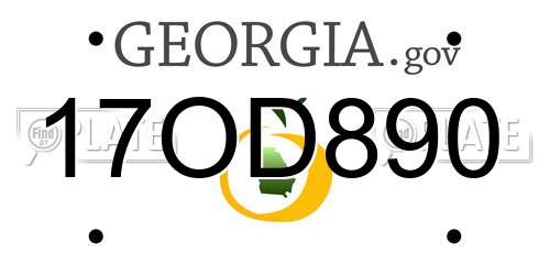 17OD890 Georgia License Plate