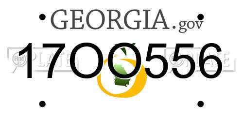 17OO556 Georgia License Plate