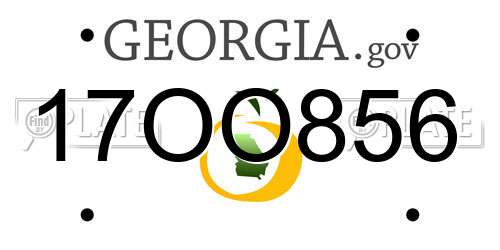 17OO856 Georgia License Plate