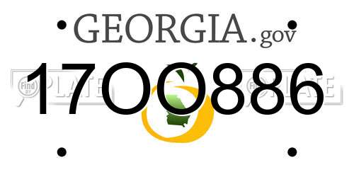 17OO886 Georgia License Plate