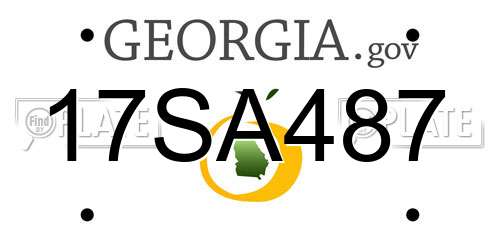 17SA487 Georgia License Plate