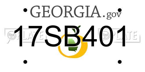 17SB401 Georgia License Plate