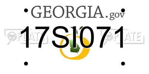 17SI071 Georgia License Plate
