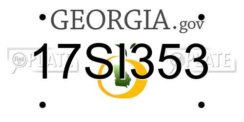 17SI353 Georgia License Plate