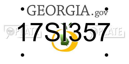 17SI357 Georgia License Plate