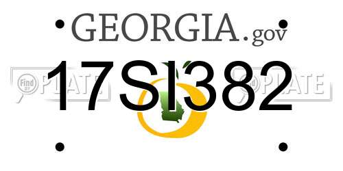 17SI382 Georgia License Plate