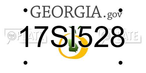 17SI528 Georgia License Plate