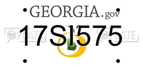 17SI575 Georgia License Plate