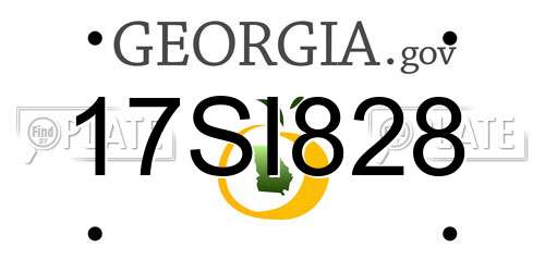 17SI828 Georgia License Plate