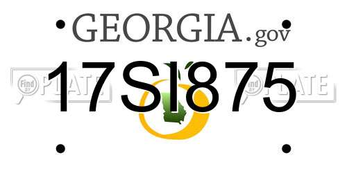 17SI875 Georgia License Plate