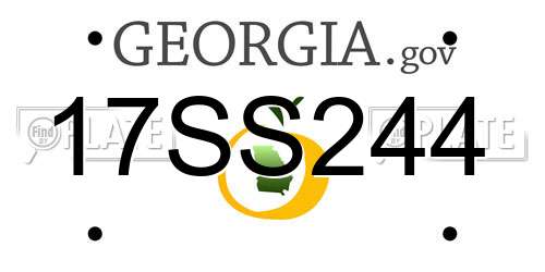 17SS244 Georgia License Plate