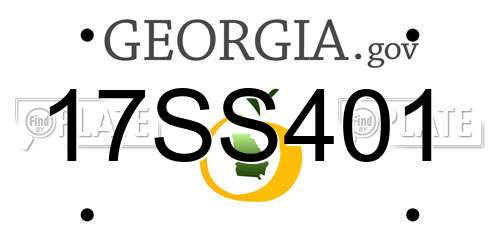 17SS401 Georgia License Plate