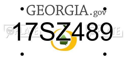 17SZ489 Georgia License Plate