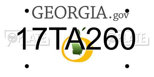 17TA260 Georgia License Plate