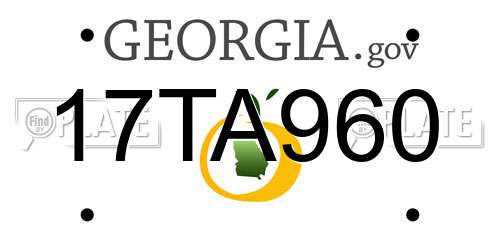17TA960 Georgia License Plate