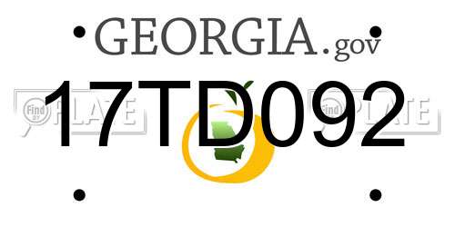 17TD092 Georgia License Plate