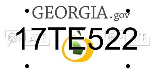 17TE522 Georgia License Plate