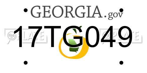 17TG049 Georgia License Plate
