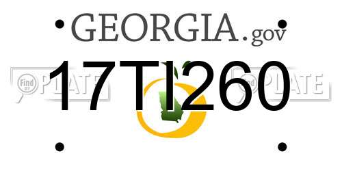 17TI260 Georgia License Plate