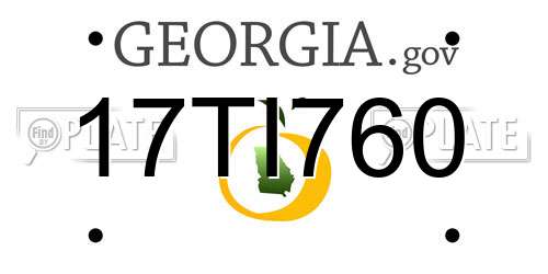 17TI760 Georgia License Plate