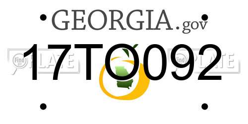 17TO092 Georgia License Plate