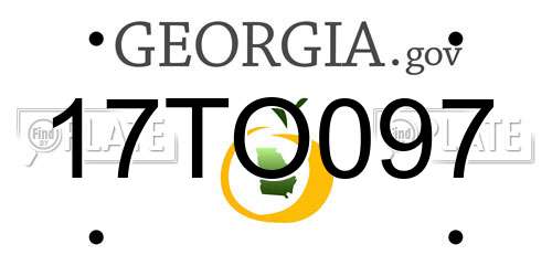 17TO097 Georgia License Plate