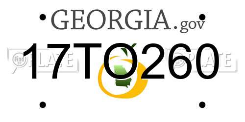 17TO260 Georgia License Plate
