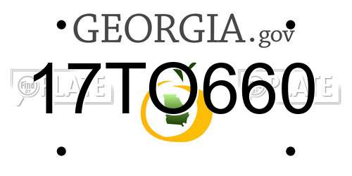 17TO660 Georgia License Plate