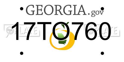 17TO760 Georgia License Plate