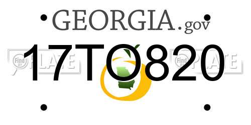 17TO820 Georgia License Plate