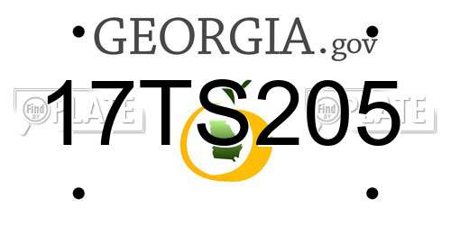 17TS205 Georgia License Plate