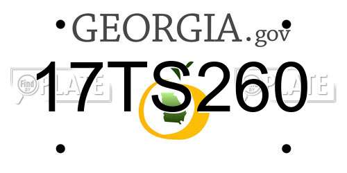 17TS260 Georgia License Plate