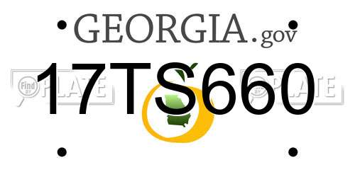 17TS660 Georgia License Plate