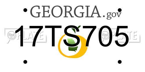 17TS705 Georgia License Plate