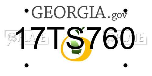 17TS760 Georgia License Plate